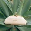 Leather bag NANNINI JUNIA Bags